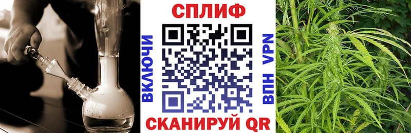 Купить наркотик Сокол Cocaine  Каннабис  KRAKEN ссылка  ГАШИШ  МЕТАДОН  Меф  АМФ 