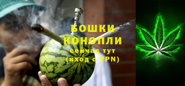 шишки Армянск