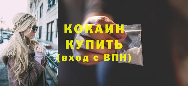 шишки Армянск